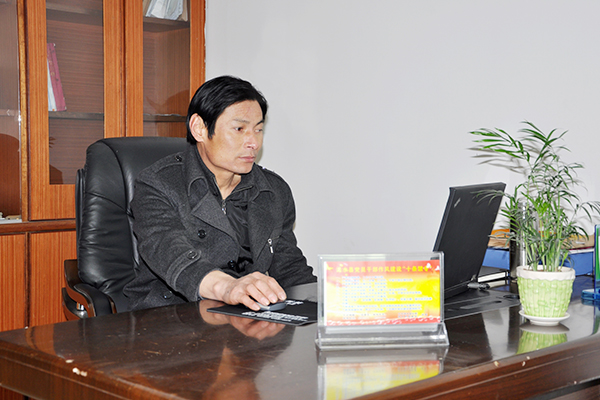 Minister of Electricity Tao Youhong